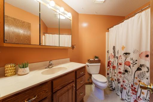 1967 Cherry St. Red Wing-Main full bathroom. Tub/shower with grab bars.