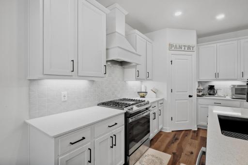 14962 Artaine Trail, Rosemount, MN 55068