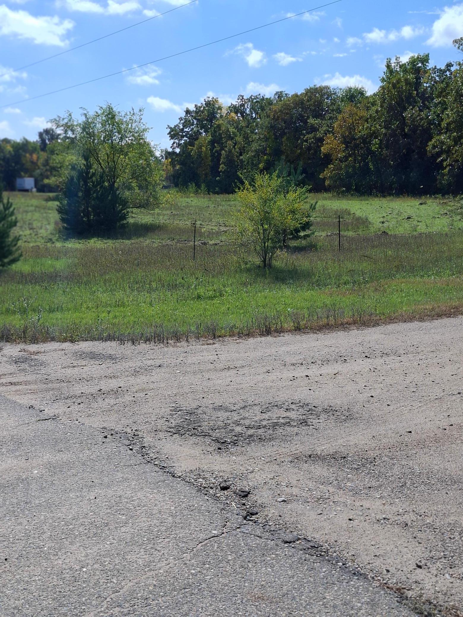 Woods on one side of property