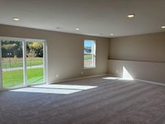 Bright Walkout Lower Level Family Room.jpg