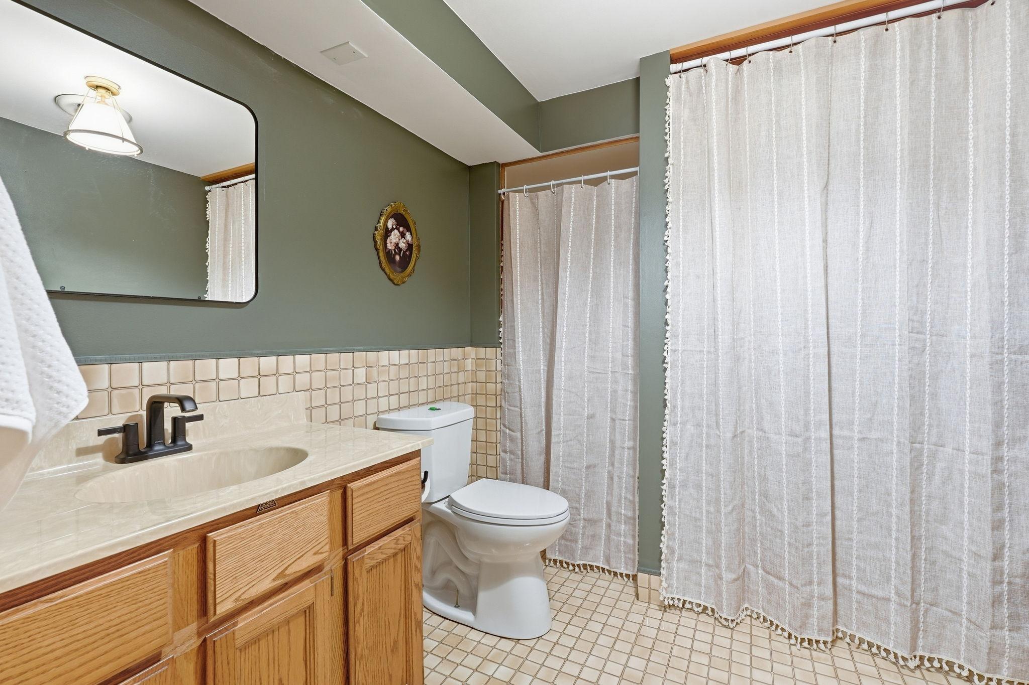 Lower Level Bathroom