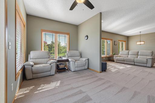 Southern facing windows!