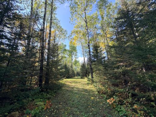 4603 North Road, Grand Marais, MN 55604