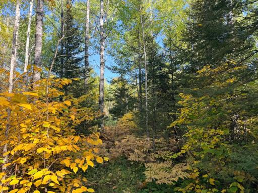 4603 North Road, Grand Marais, MN 55604