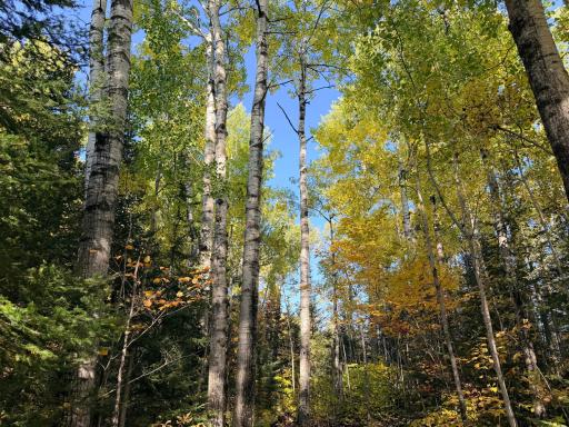4603 North Road, Grand Marais, MN 55604
