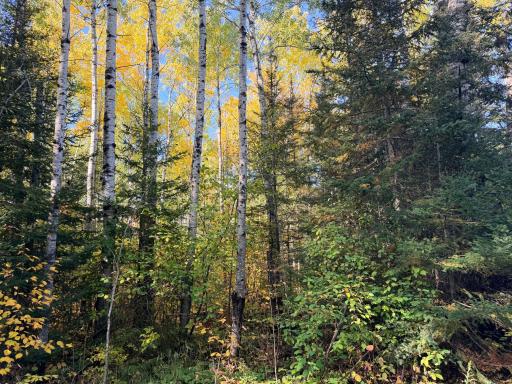 4603 North Road, Grand Marais, MN 55604