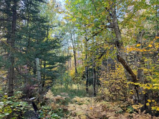 4603 North Road, Grand Marais, MN 55604