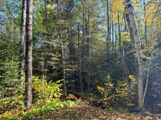 4603 North Road, Grand Marais, MN 55604