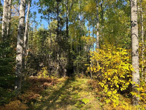 4603 North Road, Grand Marais, MN 55604