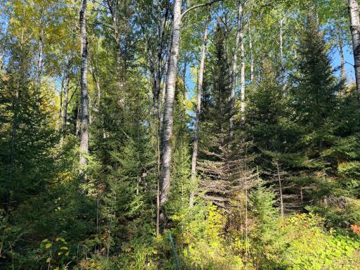 4603 North Road, Grand Marais, MN 55604