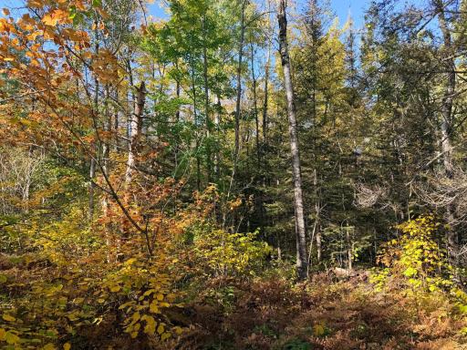 4603 North Road, Grand Marais, MN 55604