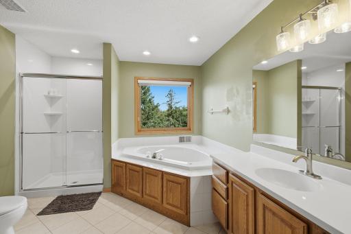 1533 Wexford Court, Eagan, MN 55122