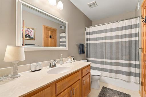 16130 39th Place N, Plymouth, MN 55446