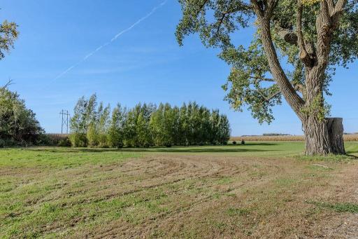 10060 80th Street SE, Maynard, MN 56260
