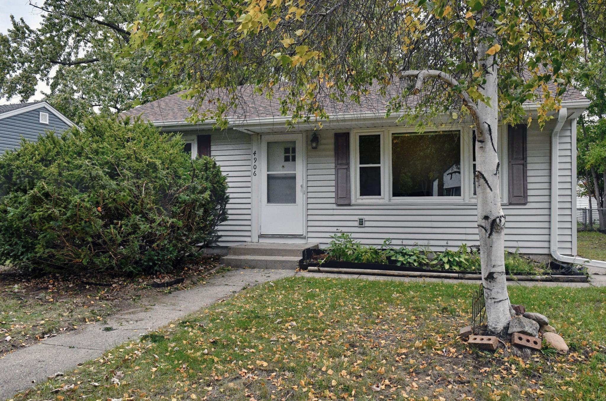Check out the paper birch in the front yard!