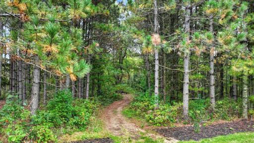 S9165 Lowes Creek Road, Eleva, WI 54738