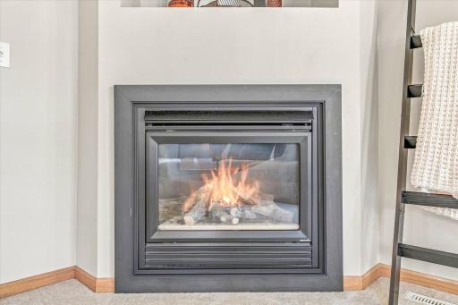 2442 Autumn Ridge Court, Chanhassen, MN 55317