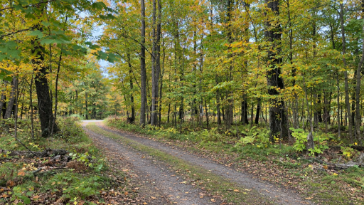580 270th Avenue, Frederic, WI 54837