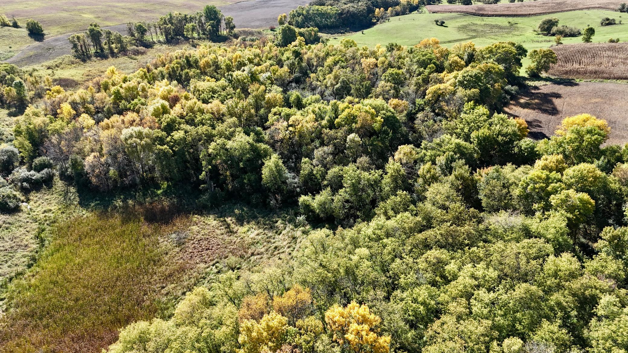 Hunting Land
