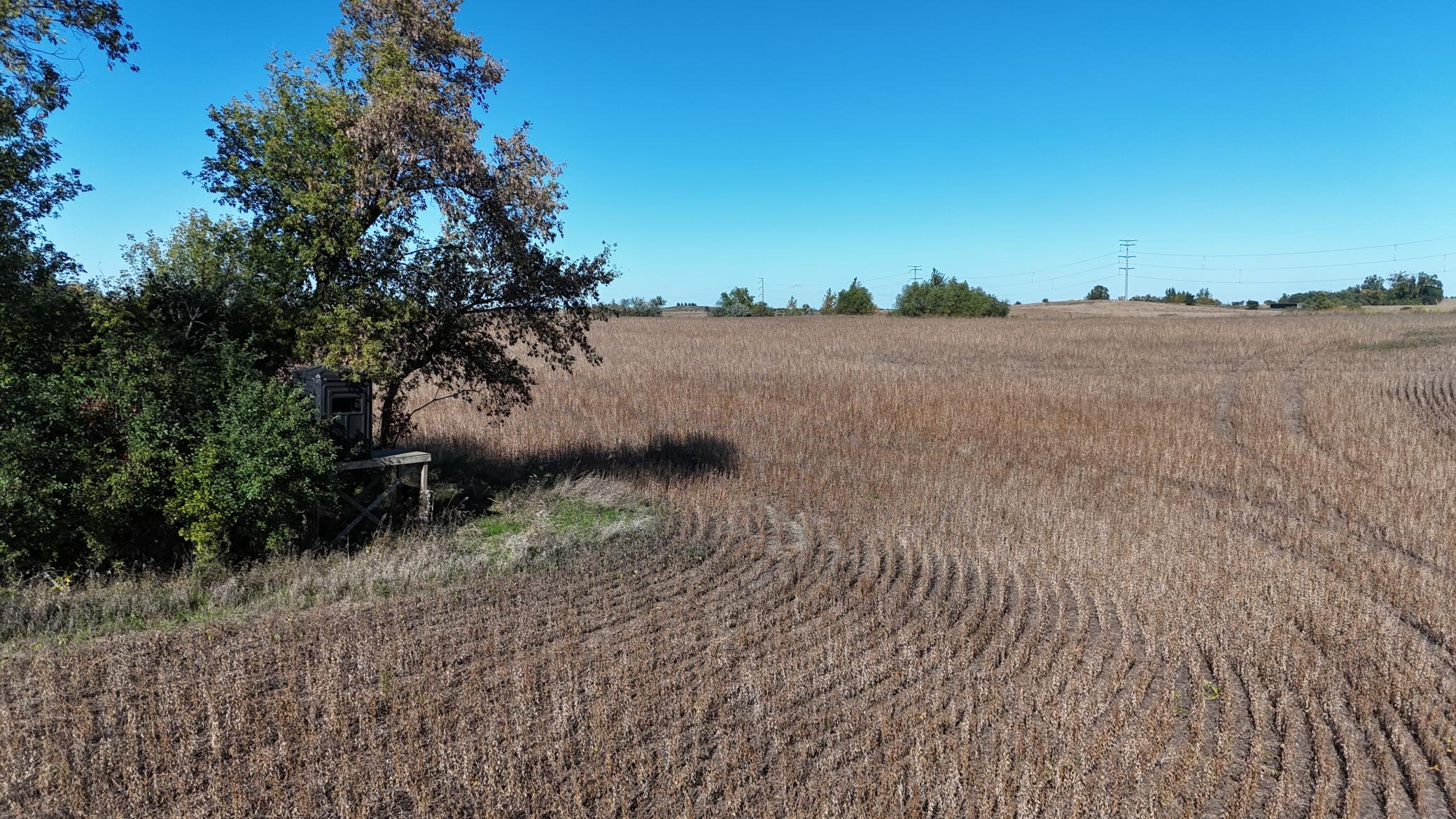DJI_20261001151914_0046_D.JPG