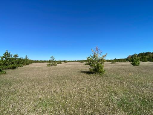 TBD Crooked River Dr - Tract C, Park Rapids, MN 56470