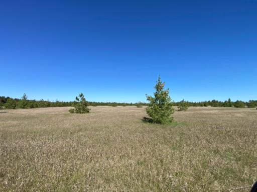 TBD Crooked River Dr - Tract C, Park Rapids, MN 56470