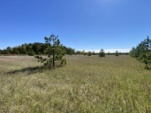 TBD Crooked River Dr - Tract D, Park Rapids, MN 56470