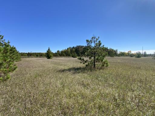 TBD Crooked River Dr - Tract D, Park Rapids, MN 56470