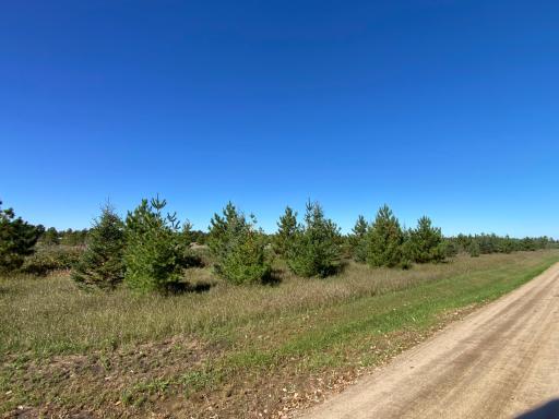 TBD Crooked River Dr - Tract D, Park Rapids, MN 56470