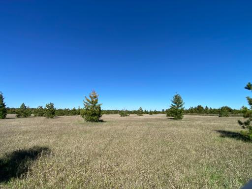 TBD Crooked River Dr - Tract D, Park Rapids, MN 56470