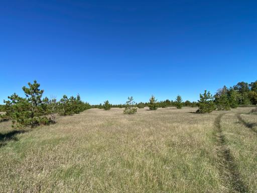 TBD Crooked River Dr - Tract D, Park Rapids, MN 56470