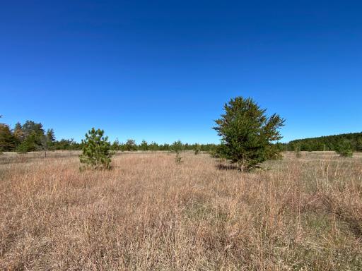 TBD State Hwy 87 - Lot 1, Park Rapids, MN 56470