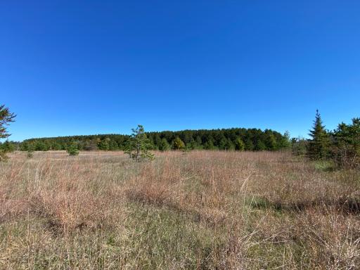 TBD State Hwy 87 - Lot 1, Park Rapids, MN 56470