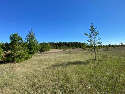 TBD State Hwy 87 - Lot 2, Park Rapids, MN 56470