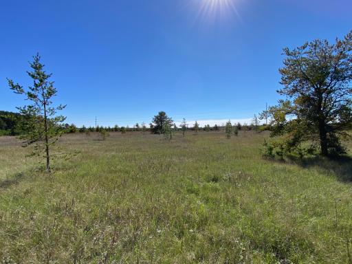 TBD State Hwy 87 - Lot 2, Park Rapids, MN 56470