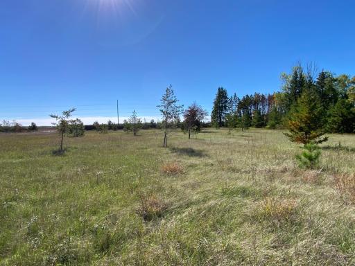 TBD State Hwy 87 - Lot 2, Park Rapids, MN 56470