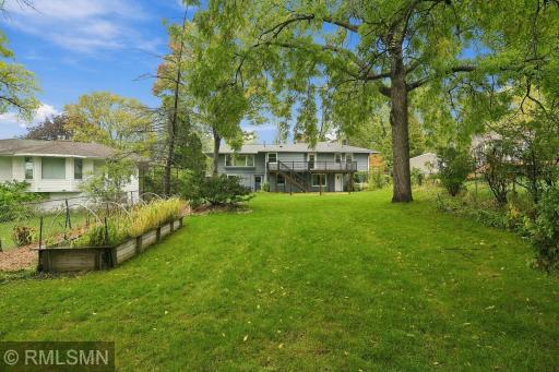Large back yard with mature trees and spaces to roam!