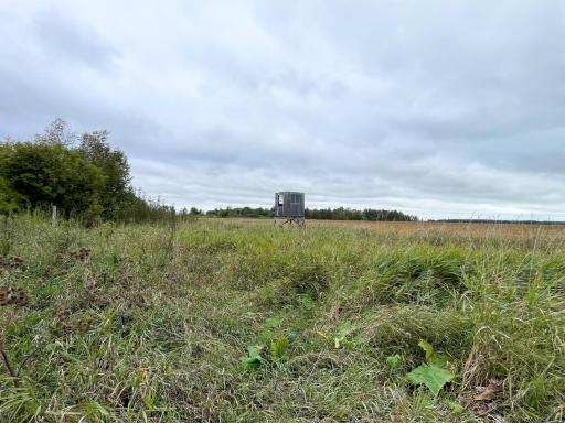 11763 546th Street, Gonvick, MN 56644
