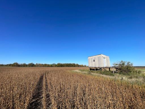 11763 546th Street, Gonvick, MN 56644