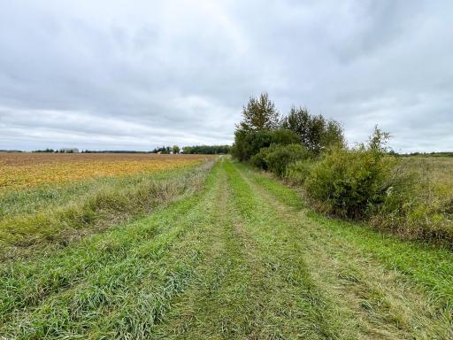 11763 546th Street, Gonvick, MN 56644