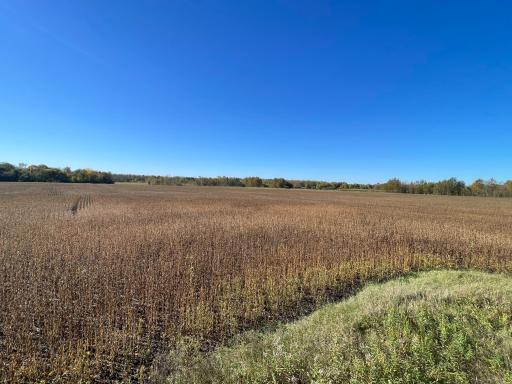 11763 546th Street, Gonvick, MN 56644