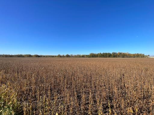 11763 546th Street, Gonvick, MN 56644