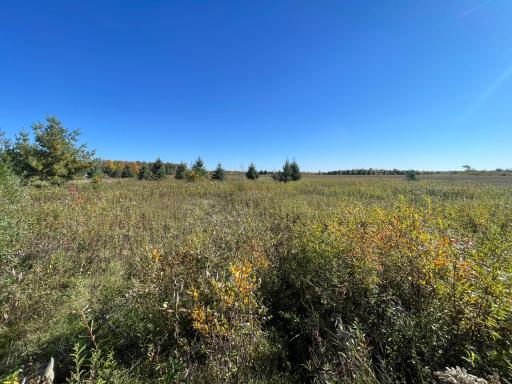 11763 546th Street, Gonvick, MN 56644