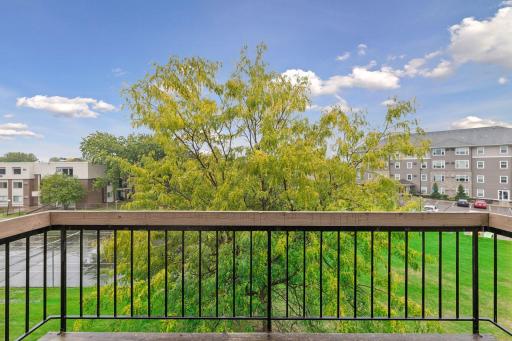 Beautiful natural view from elevated balcony deck.