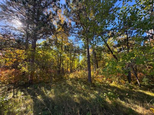 TBD Golf View Drive NE, Bemidji, MN 56601