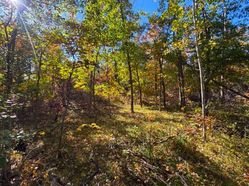 TBD Golf View Drive NE, Bemidji, MN 56601