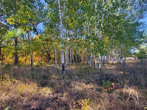 TBD Golf View Drive NE, Bemidji, MN 56601