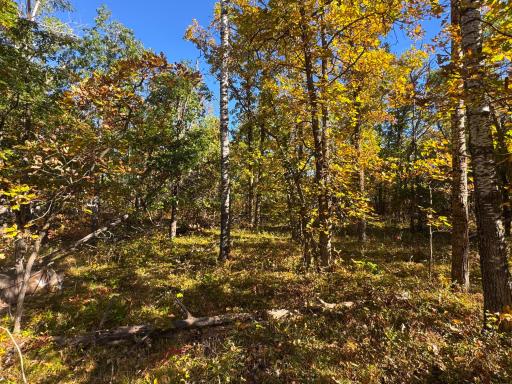 TBD Golf View Drive NE, Bemidji, MN 56601