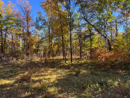 TBD Golf View Drive NE, Bemidji, MN 56601