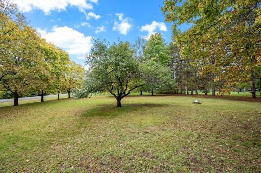 15210 Jackal Street NW, Ramsey, MN 55303